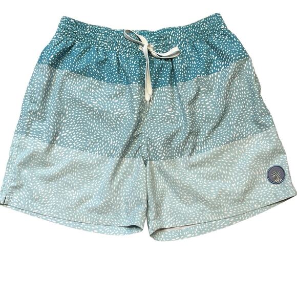 Chubbies Swim Trunks Stretch 5.5" Large Blue Green Gradient Dots Color Block - Picture 1 of 5